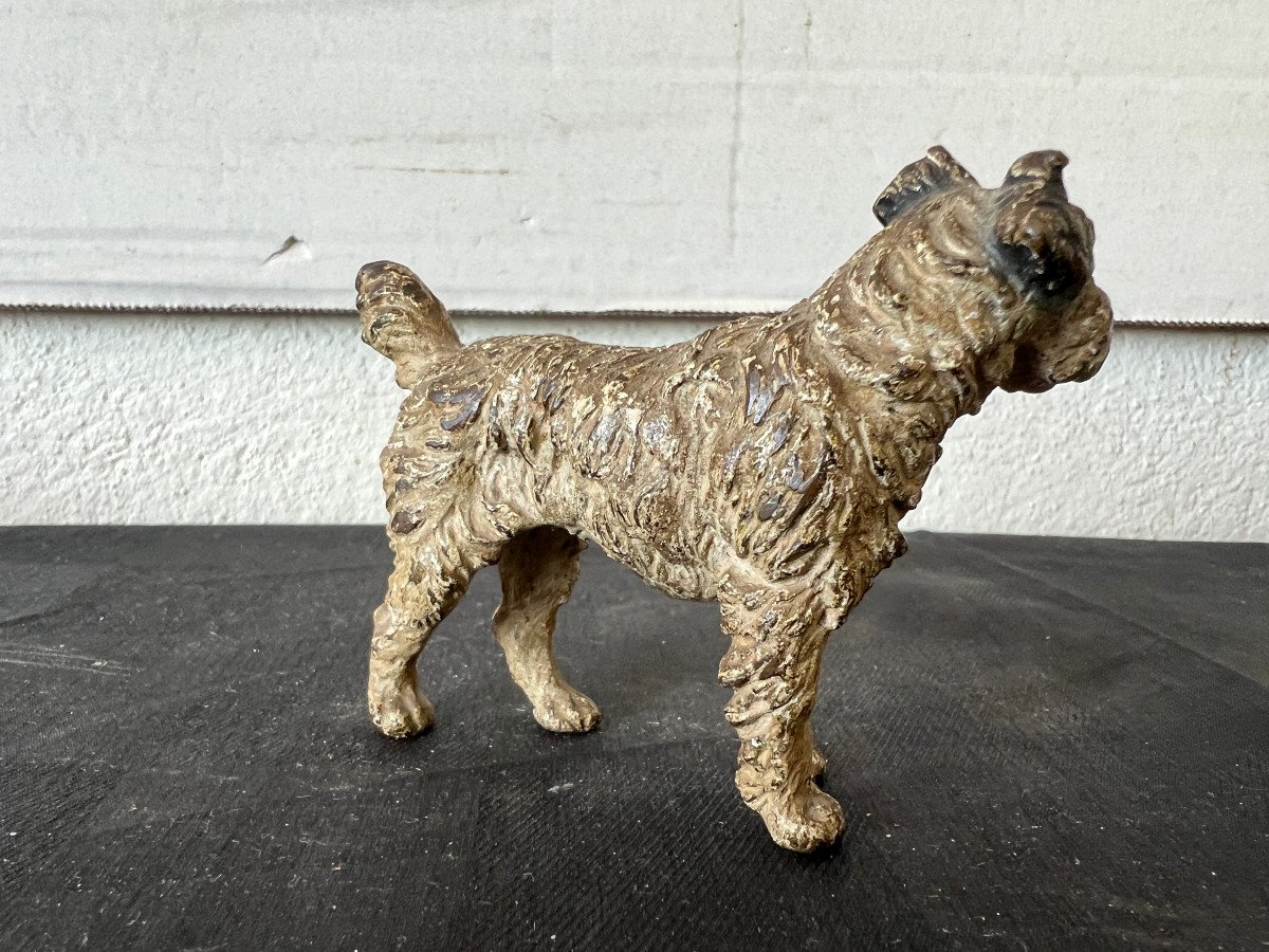 The Fox Terrier, Vienna Bronze-photo-2