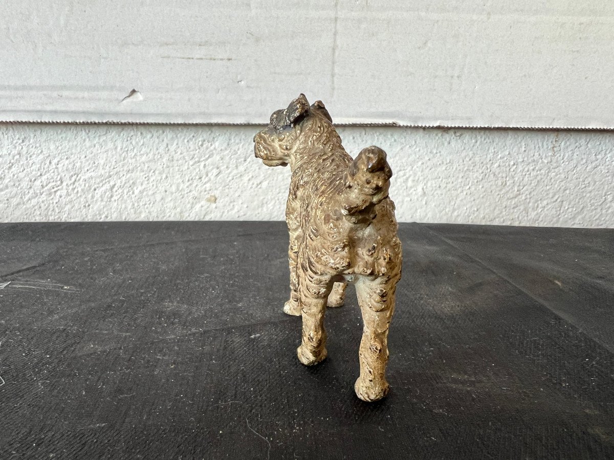 The Fox Terrier, Vienna Bronze-photo-3