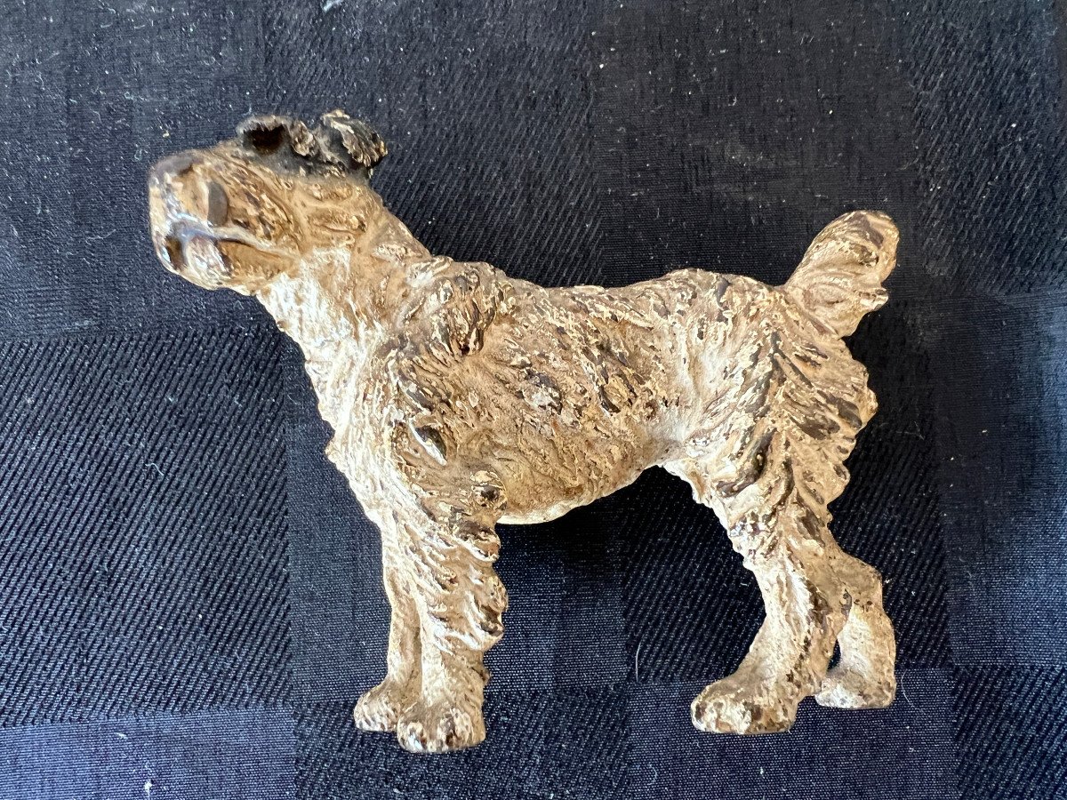 The Fox Terrier, Vienna Bronze-photo-1