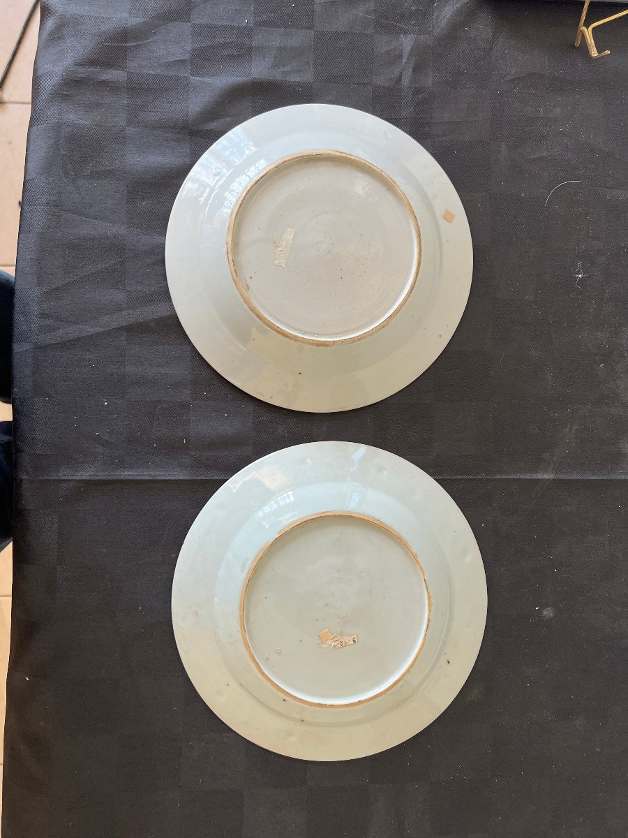 Pair Of Dinner Plates, Floral Decor, Famille Rose, China-photo-4