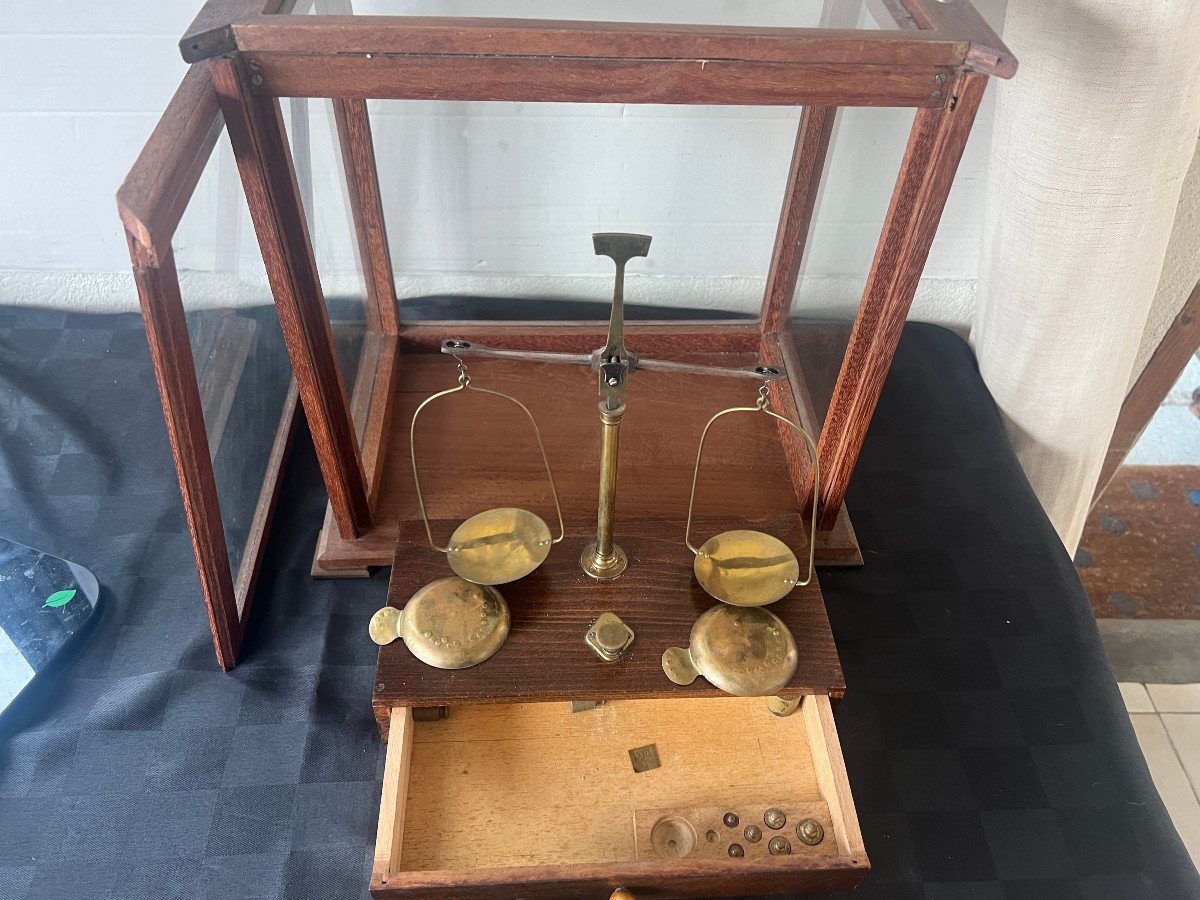 Trébuchet Dans Sa Vitrine-photo-3