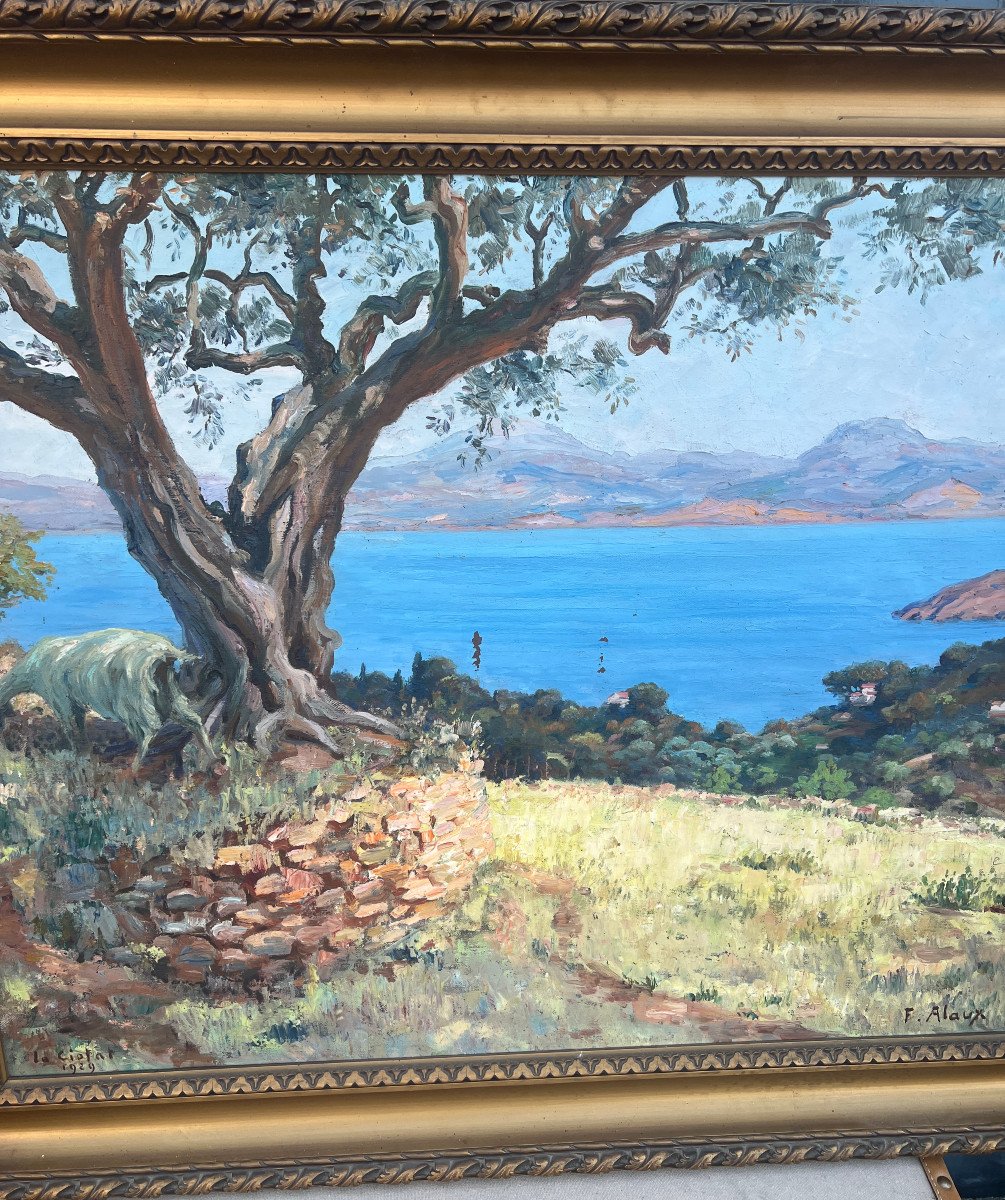 Alaux Paintings Oil-on-canvas Framed Olivier De La Ciotat -photo-8