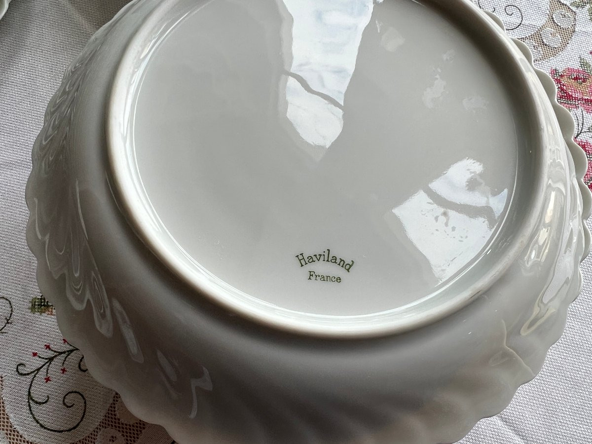 Haviland Limoges Porcelain Service-photo-3