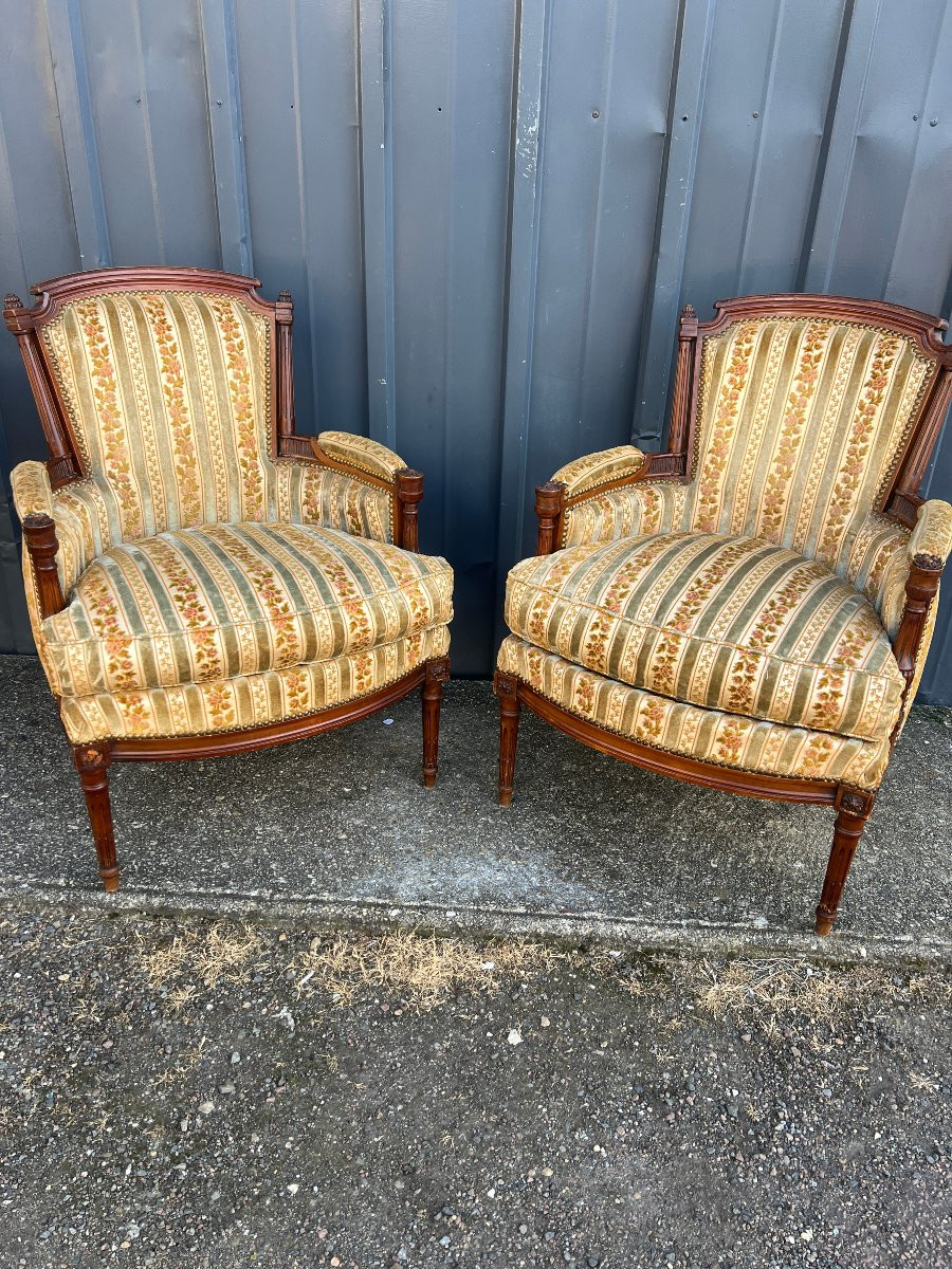 Pair Of Louis XVI Style Bergère Armchairs, Natural Wood-photo-2