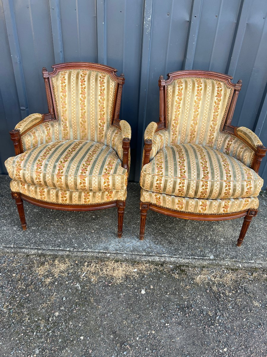 Pair Of Louis XVI Style Bergère Armchairs, Natural Wood-photo-1