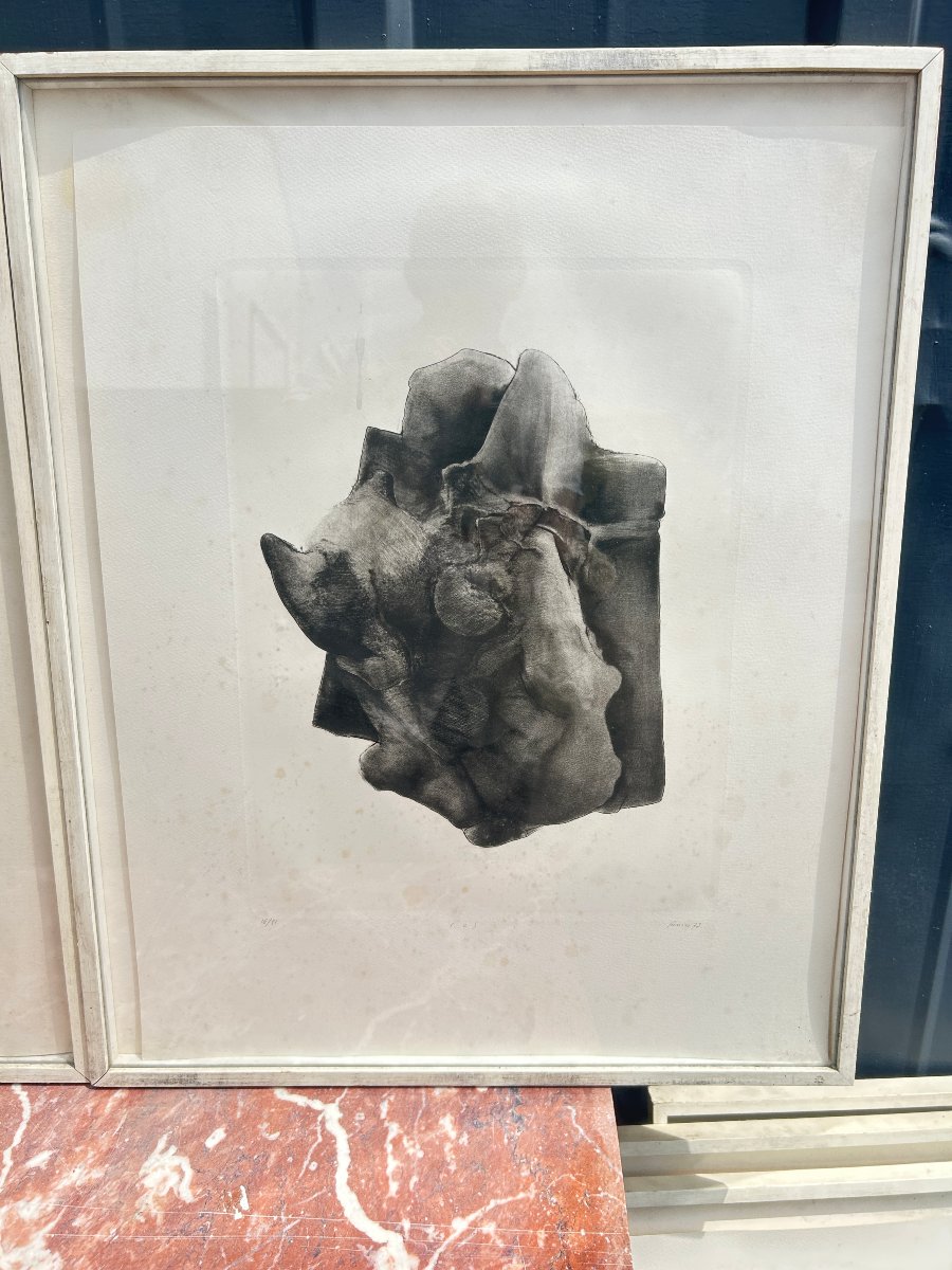 Christian Fossier .Série de 6 lithographies encadrées.Empaquetages-photo-4