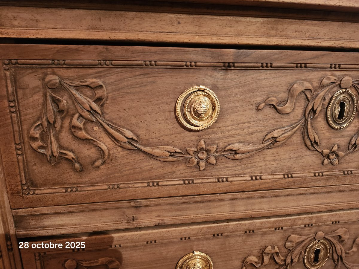 COMMODE SAUTEUSE LOUIS XVI  EN NOYER DECAPEE EPOQUE 19 EME -photo-4