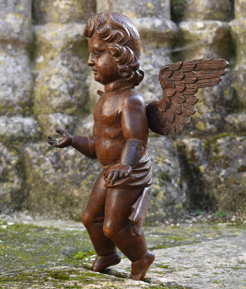 Putto / Ange en bois sculpt&eacute; - Italie fin XVIIe -photo-3