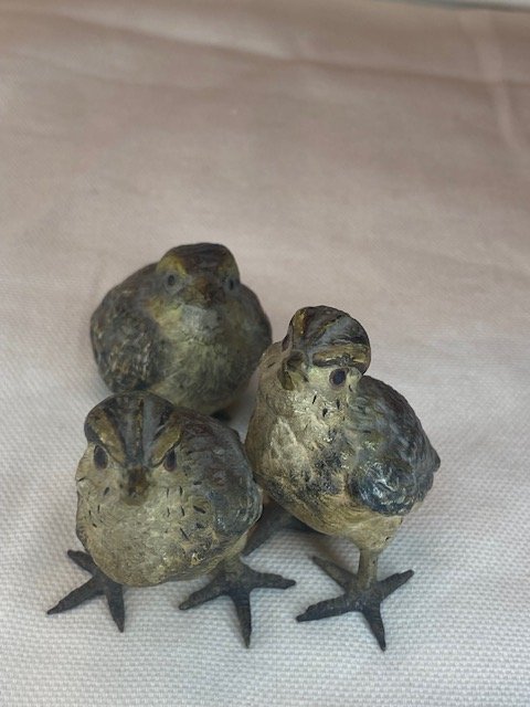 Rare Bronze de Vienne – Famille de Moineaux Polychromes-photo-2