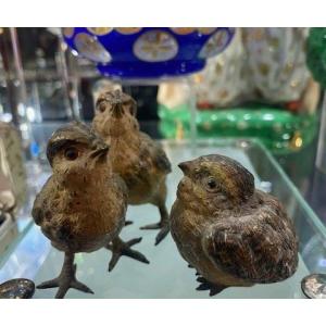 Rare Bronze de Vienne – Famille de Moineaux Polychromes