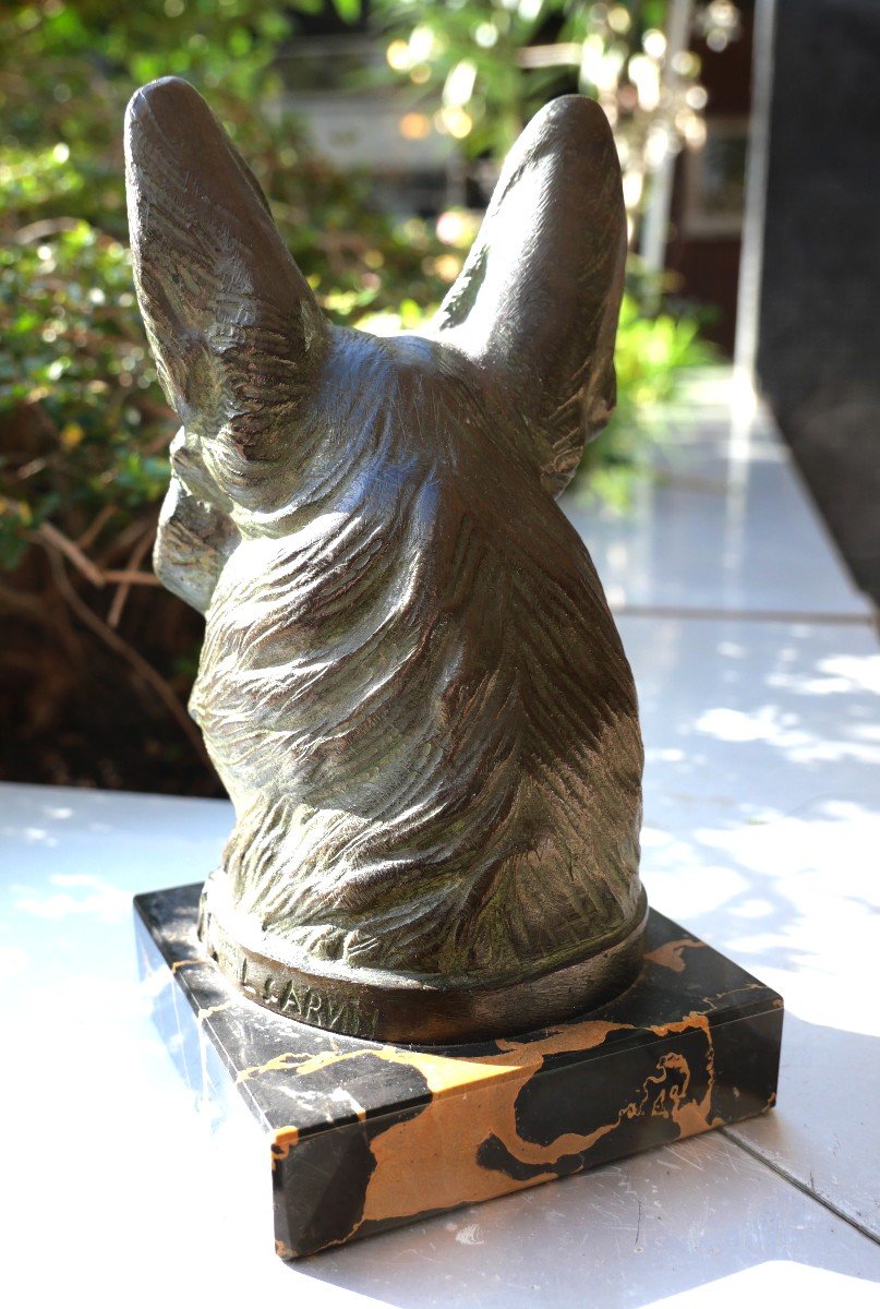Bronze Dog Head By Carvin-photo-3
