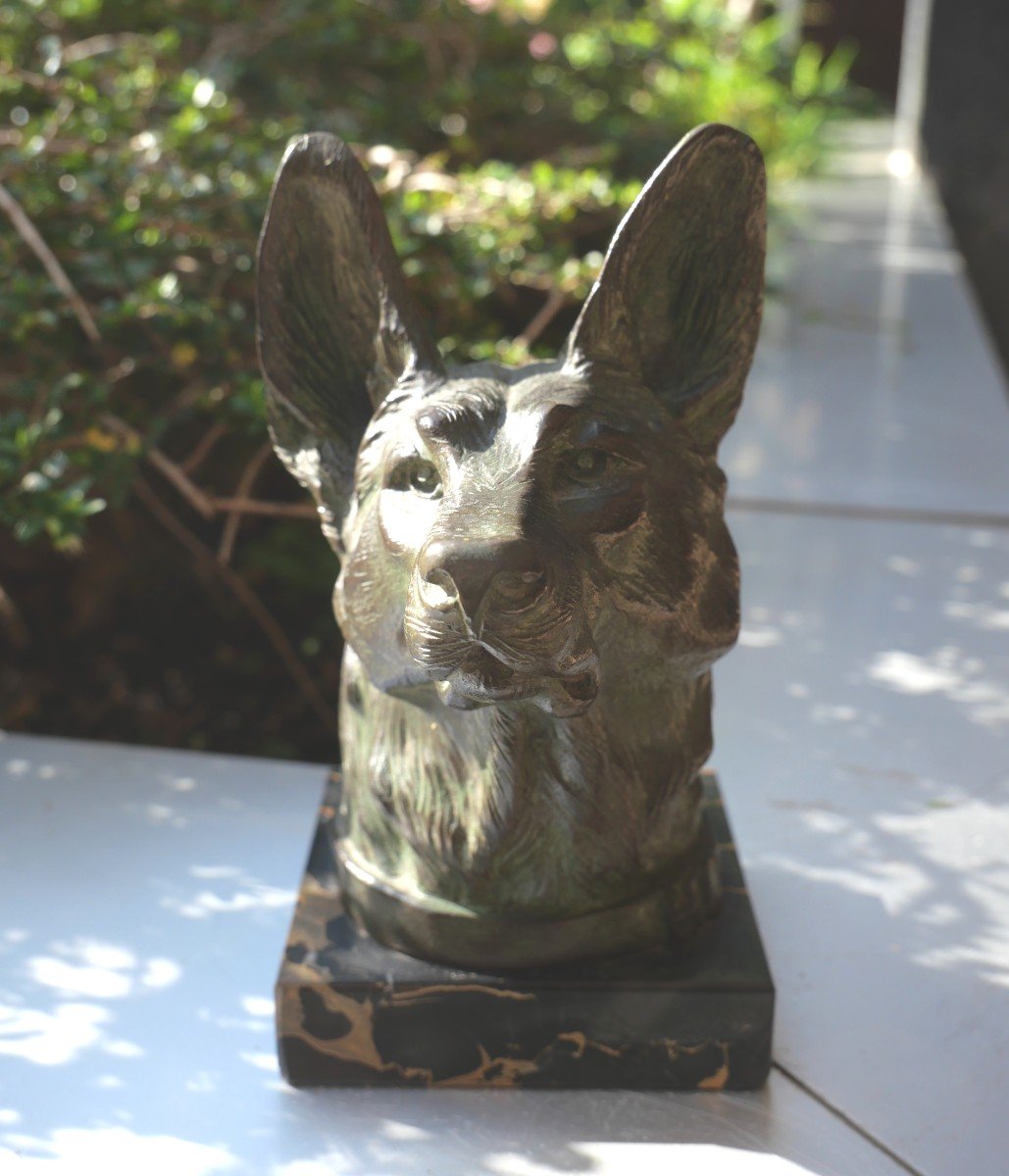 Bronze Dog Head By Carvin-photo-1