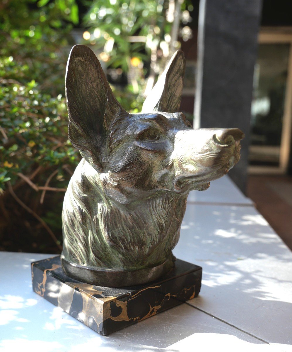 Bronze Dog Head By Carvin