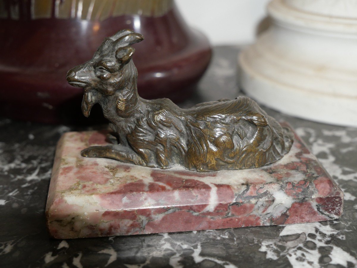 Petite Chèvre En Bronze -photo-2