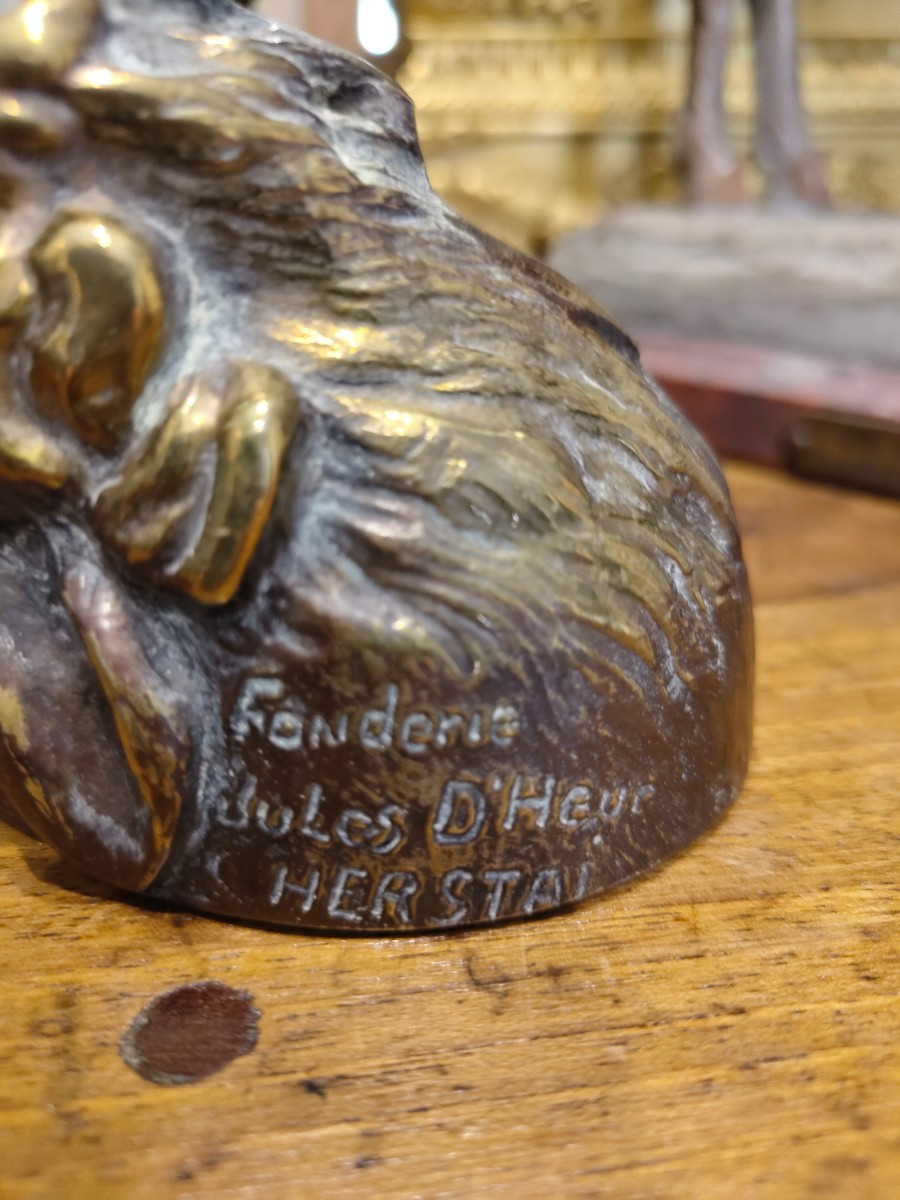 Tête de coq en bronze -photo-2