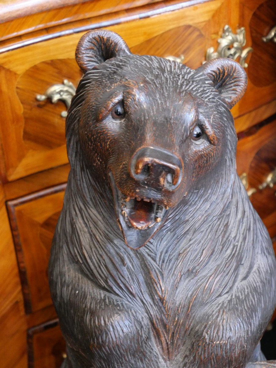 Black Forest Umbrella Bear, 19th Century -photo-2
