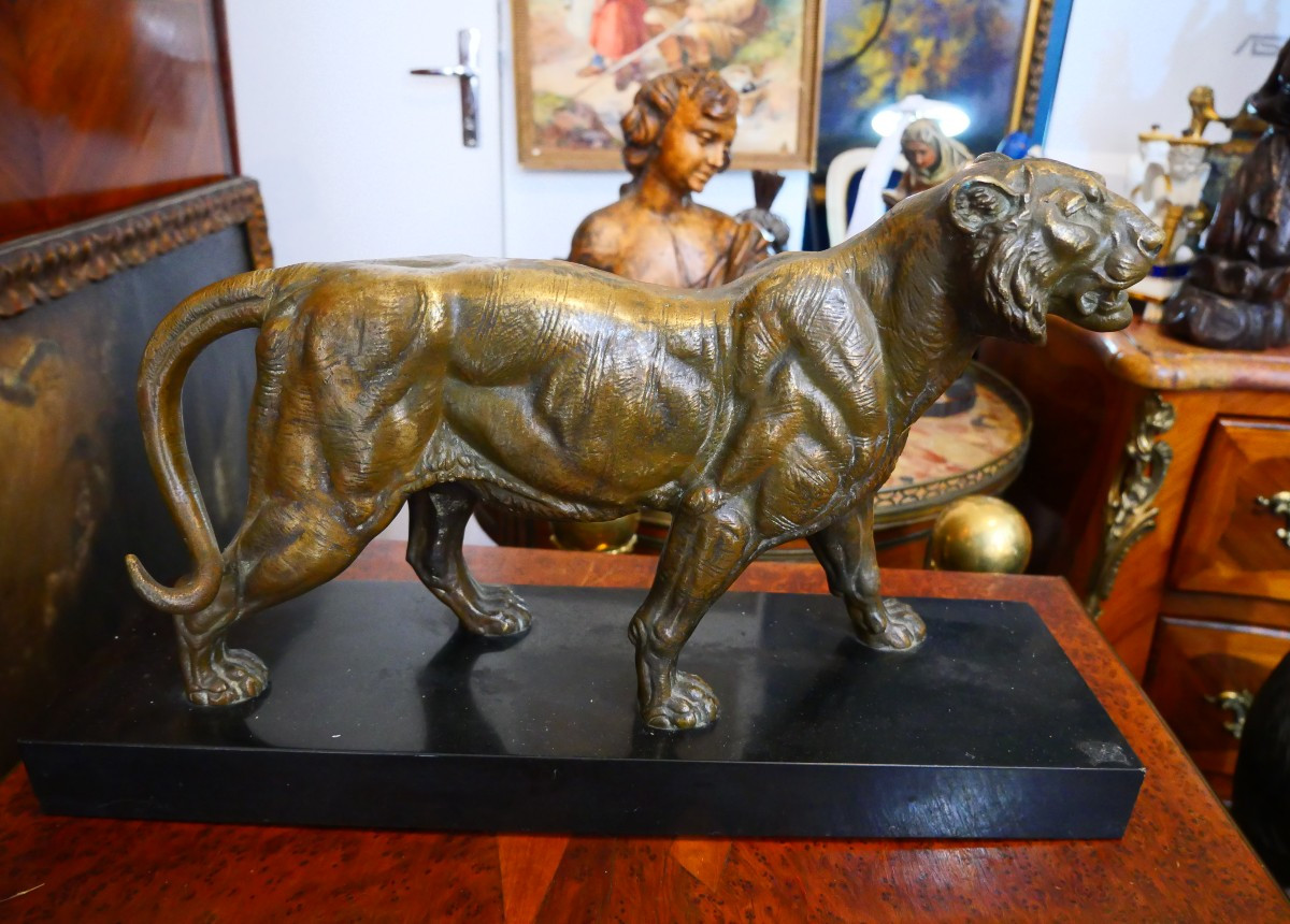 Lioness In Patinated Bronze