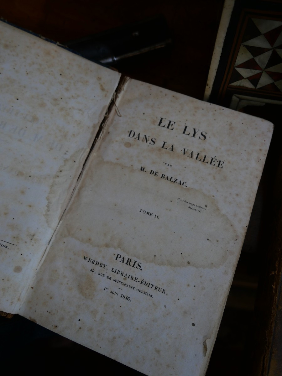 The Lily Of The Valley, Original Edition By Balzac-photo-4