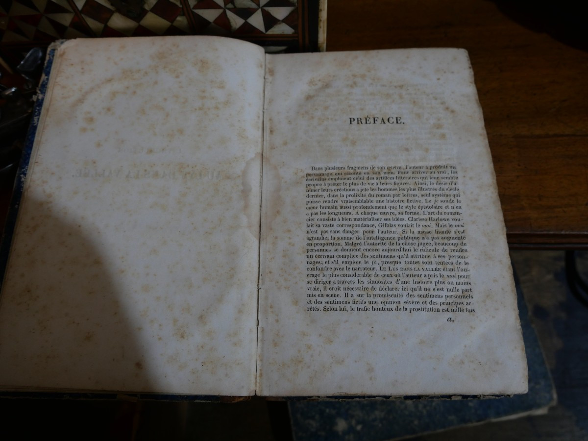 The Lily Of The Valley, Original Edition By Balzac-photo-4