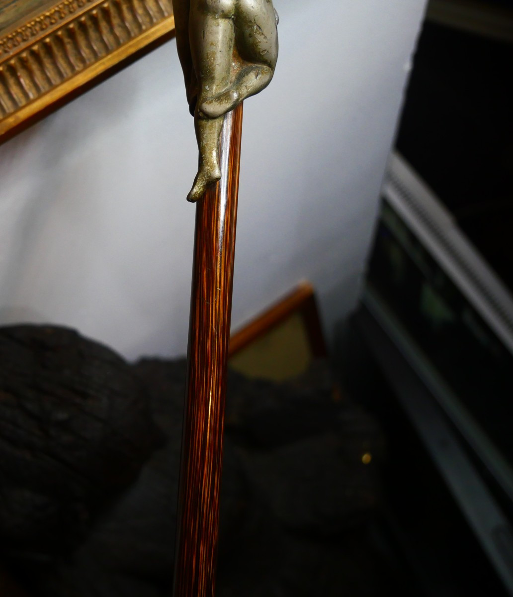 Canne en palissandre pommeau femme nue -photo-3