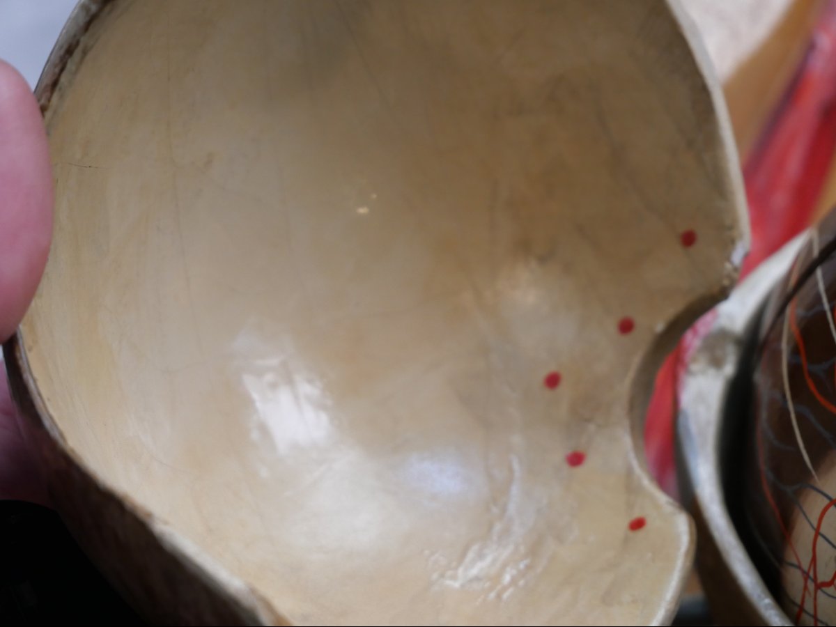 Ecorché d'un oeil anatomique début du XXe -photo-4