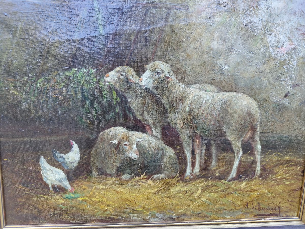 Moutons dans une étable hst-photo-3