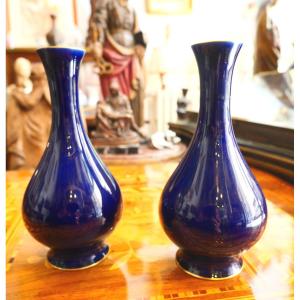 Paire de vases  en porcelaine de Sévres 