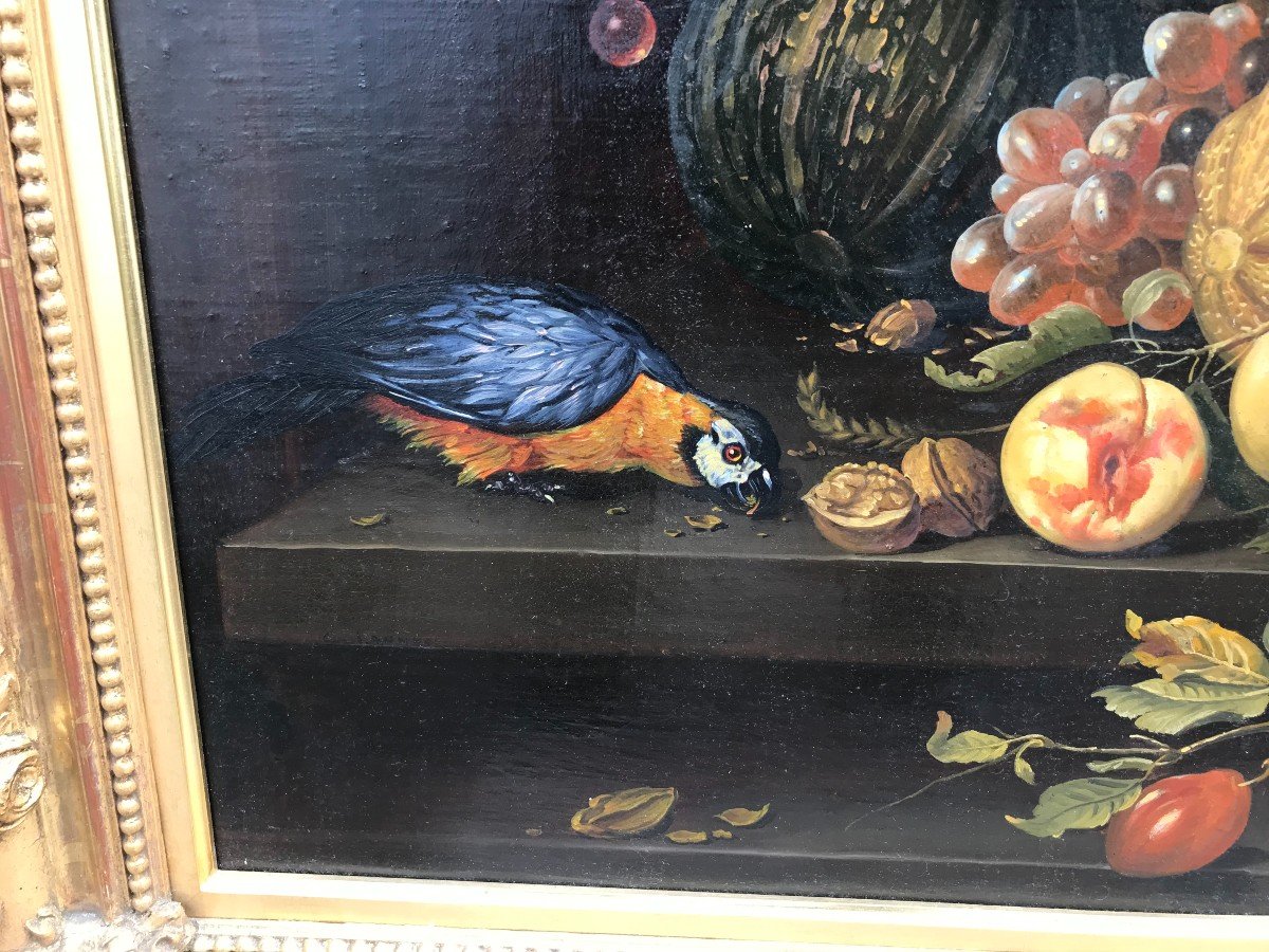 Large Still Life With 20th Century Parrots With 19th Century Frame-photo-3