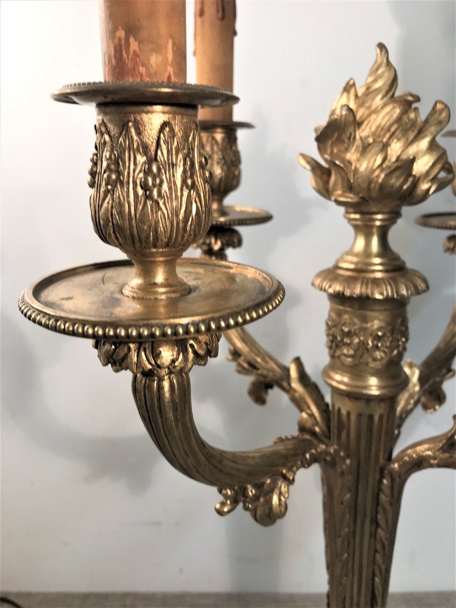 Large Pair Of Louis XVI Style Bronze Candelabra-photo-3