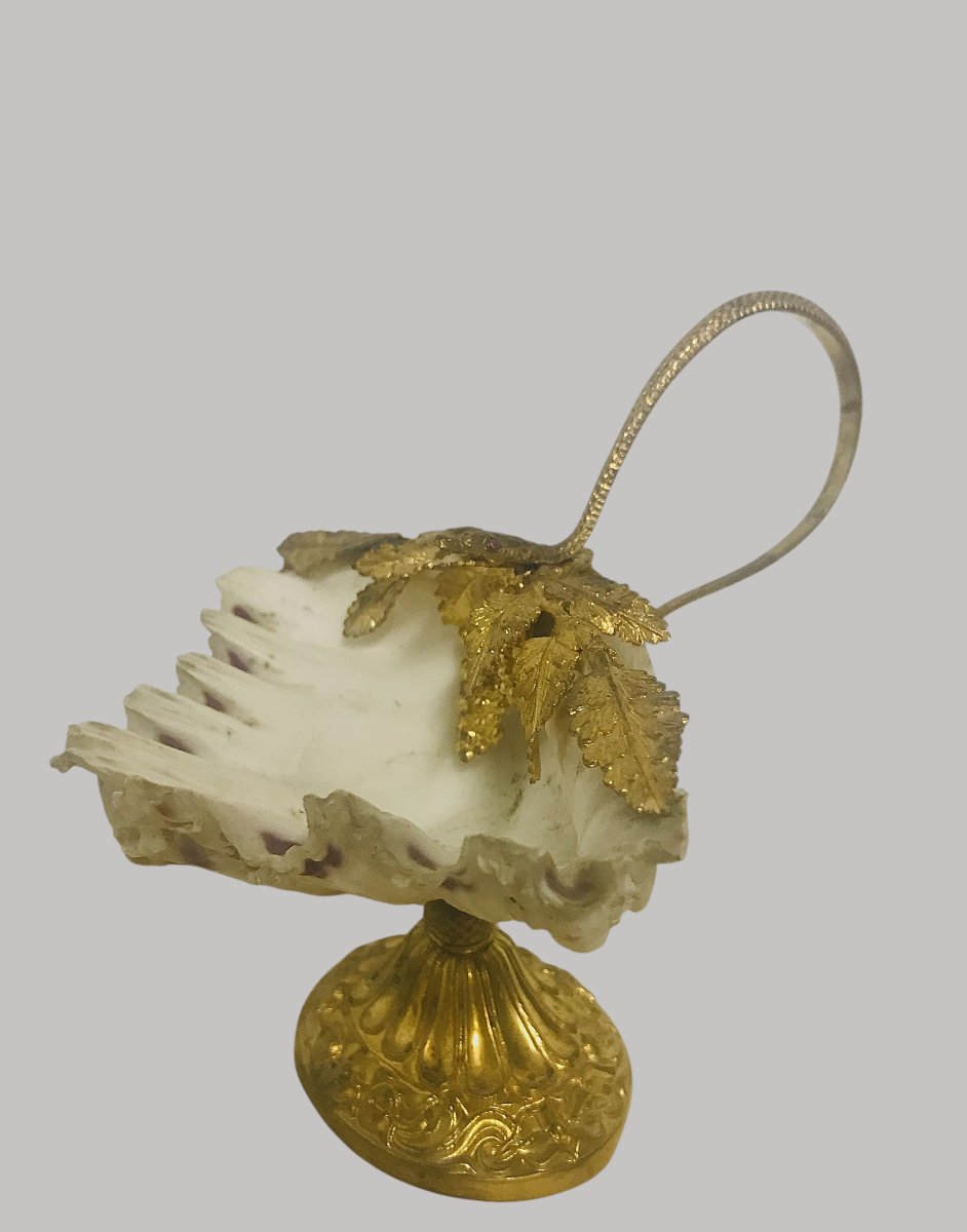 Coupe coquillage raisin vigne et serpent-photo-4