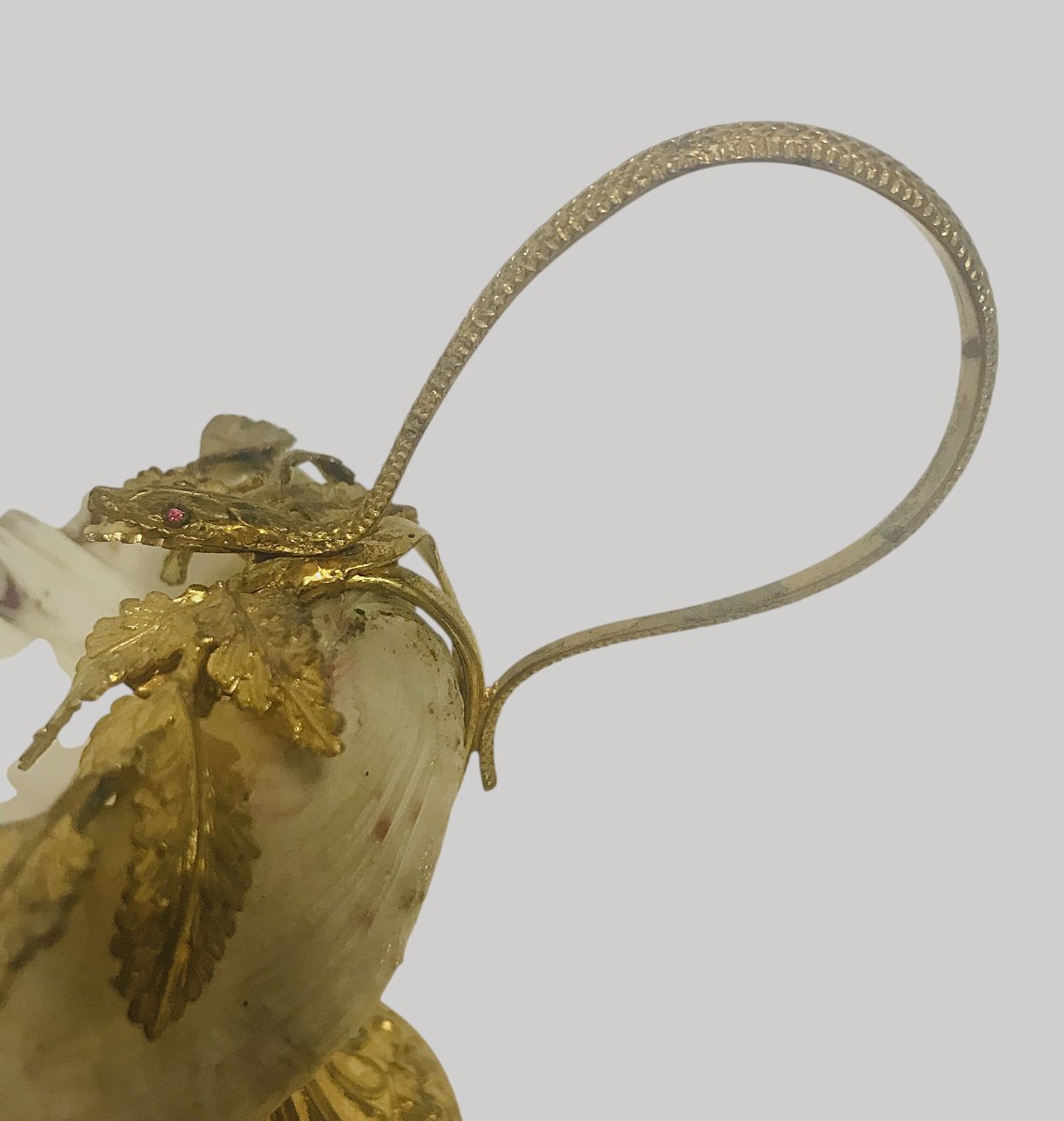 Coupe coquillage raisin vigne et serpent-photo-1