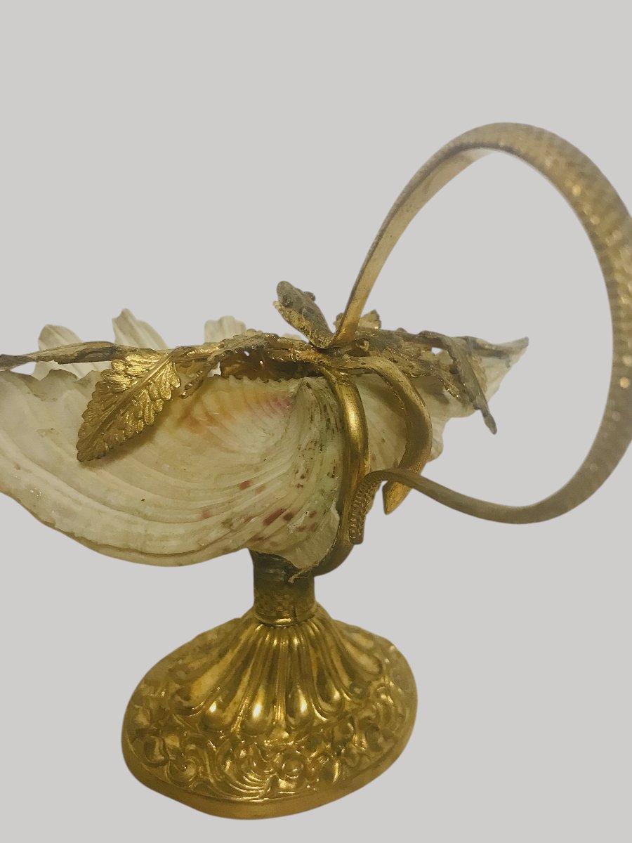 Coupe coquillage raisin vigne et serpent-photo-2