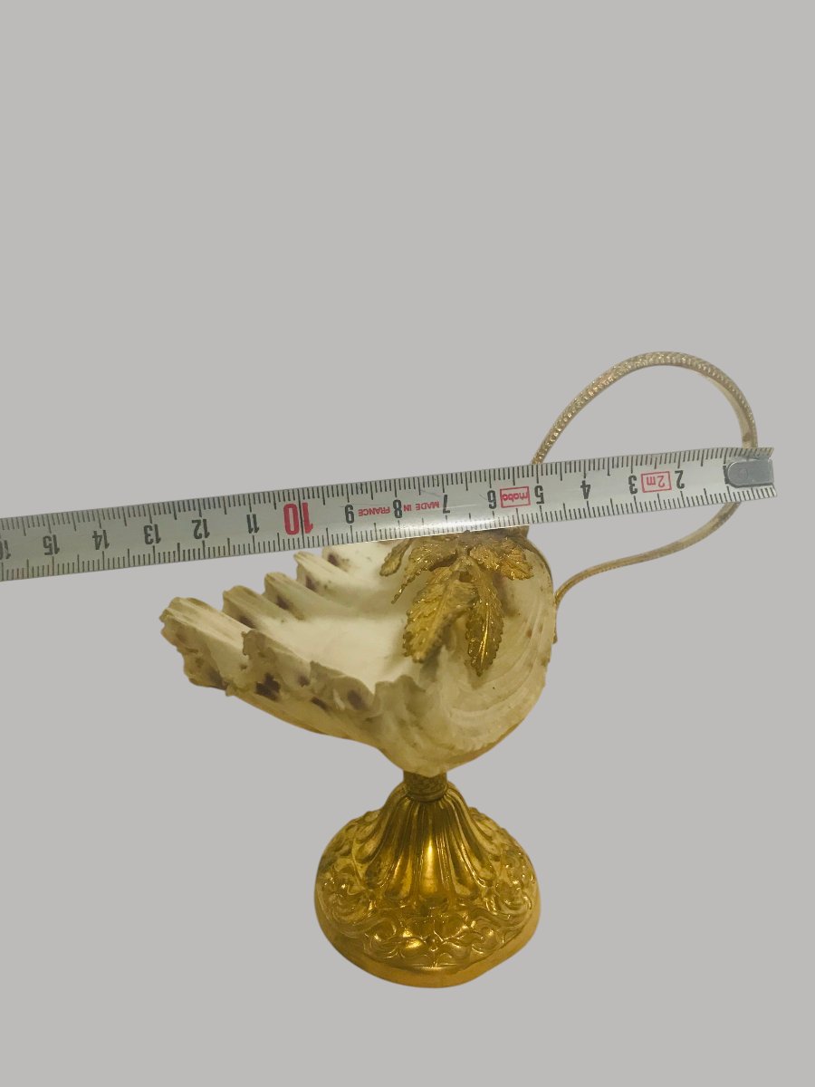 Coupe coquillage raisin vigne et serpent-photo-7