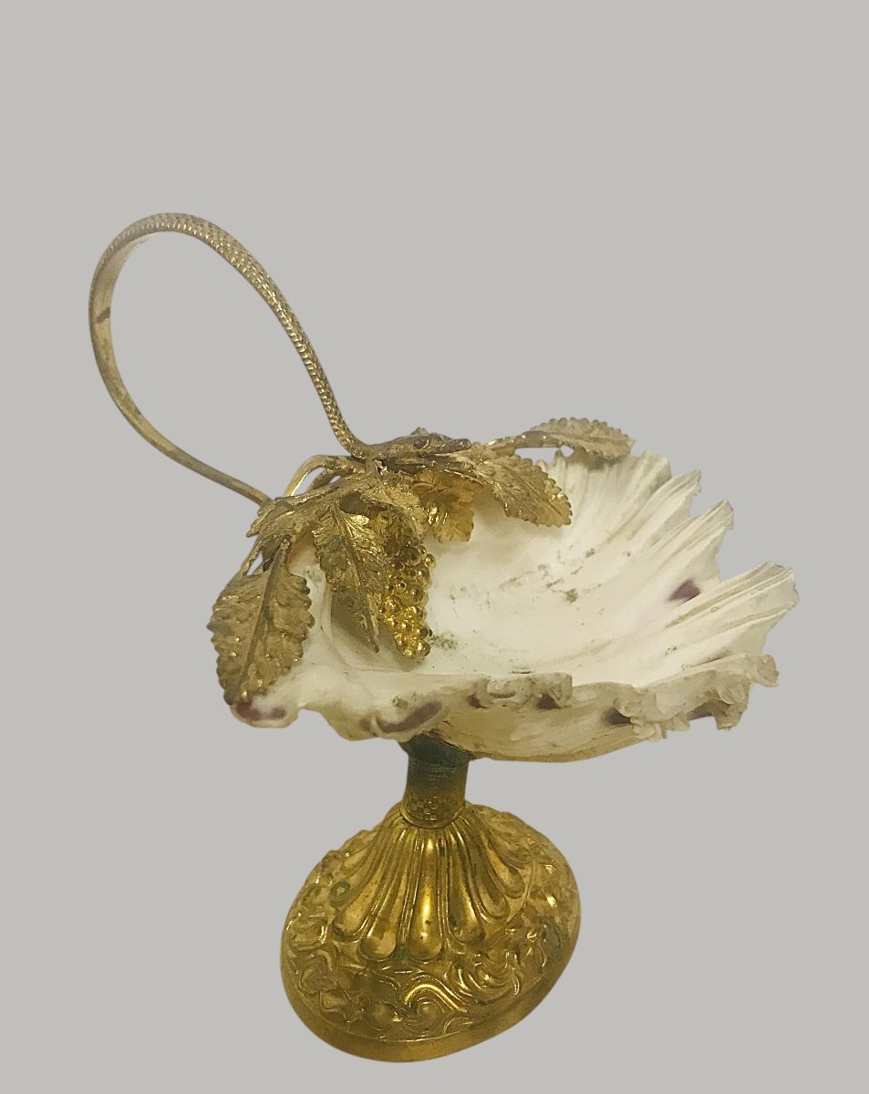 Coupe coquillage raisin vigne et serpent