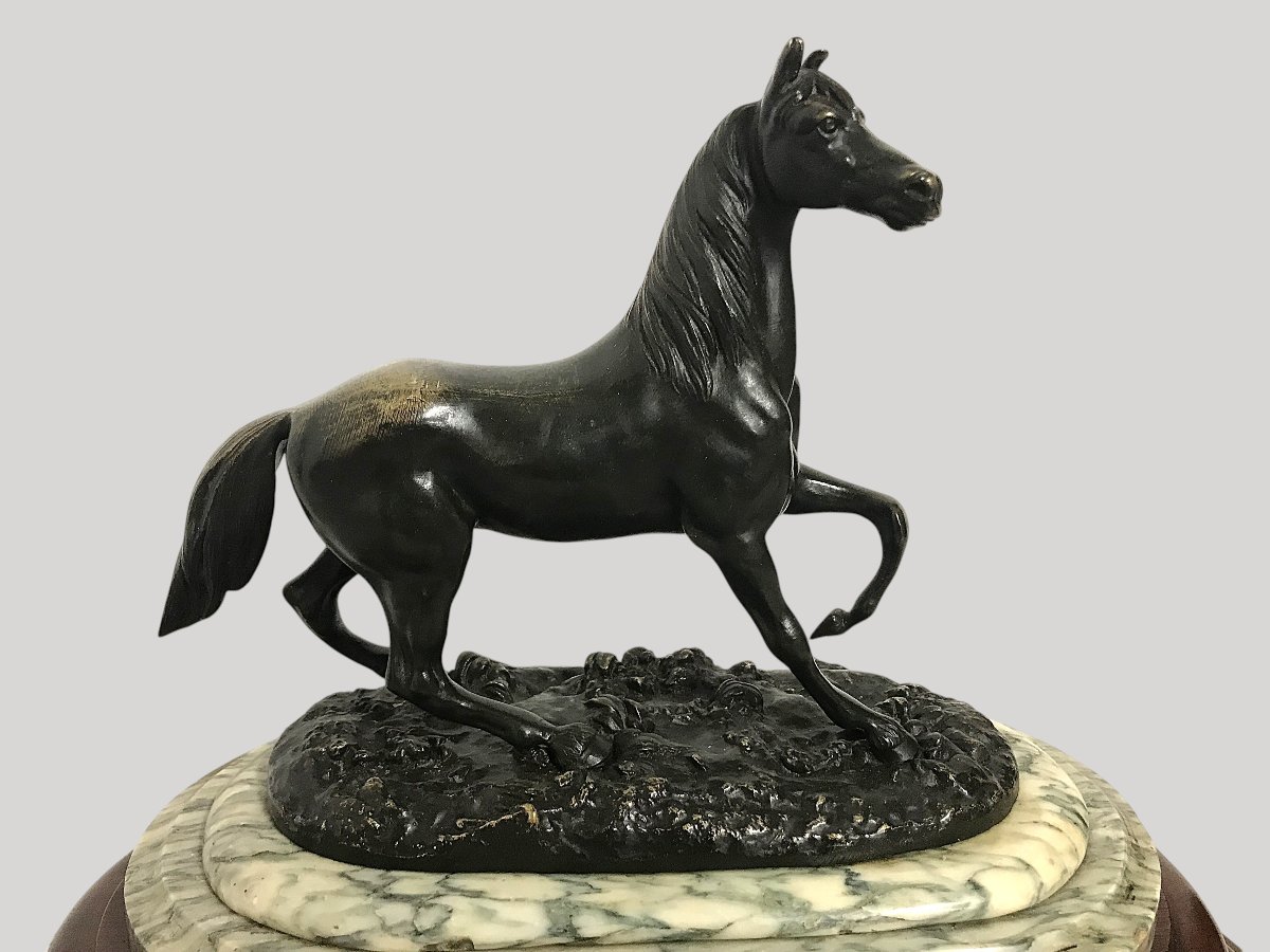 Bronze Horse-photo-2