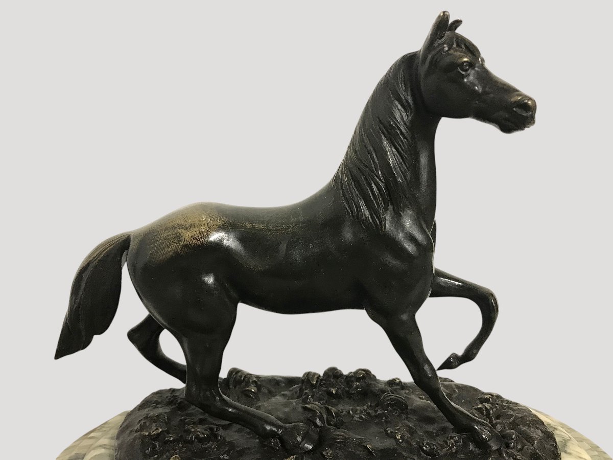 Bronze Horse-photo-3