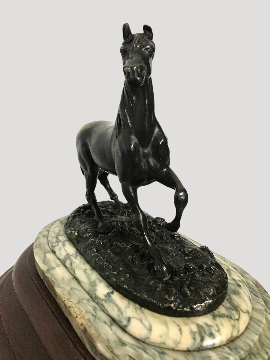 Bronze Horse-photo-4