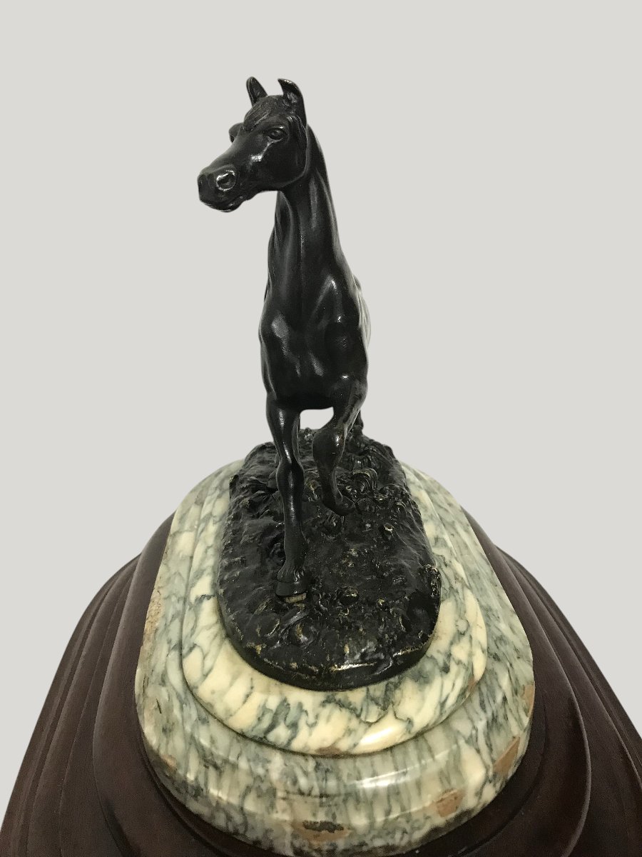 Bronze Horse-photo-1