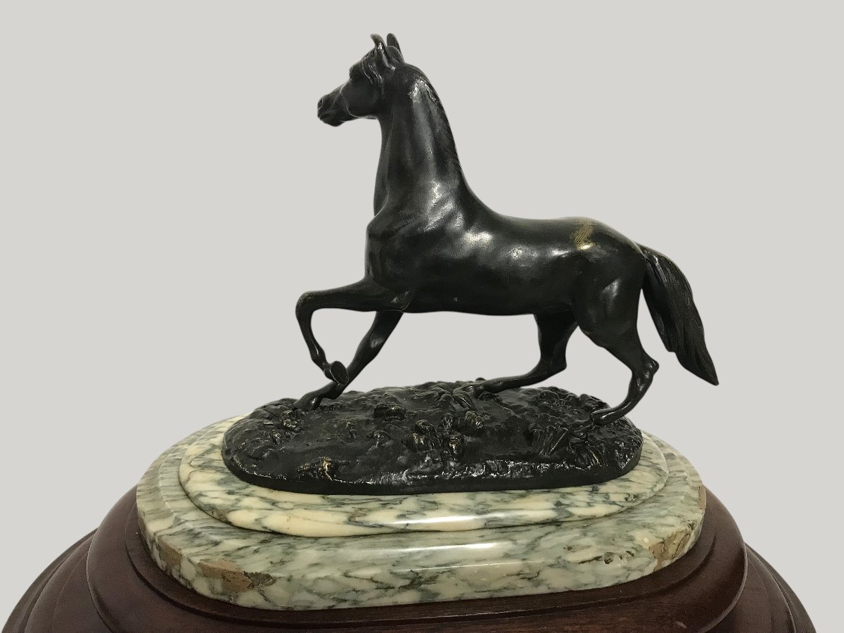 Bronze Horse-photo-2