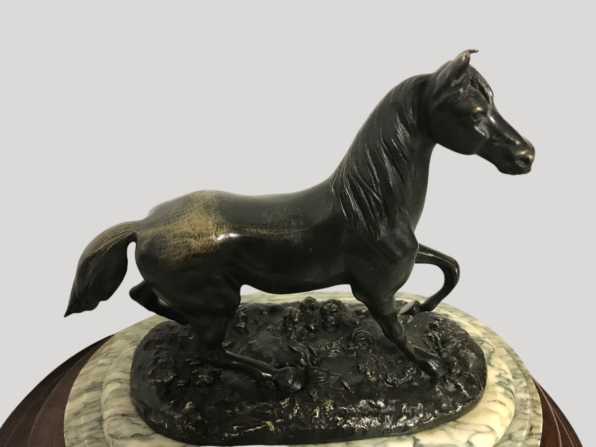 Bronze Horse-photo-3