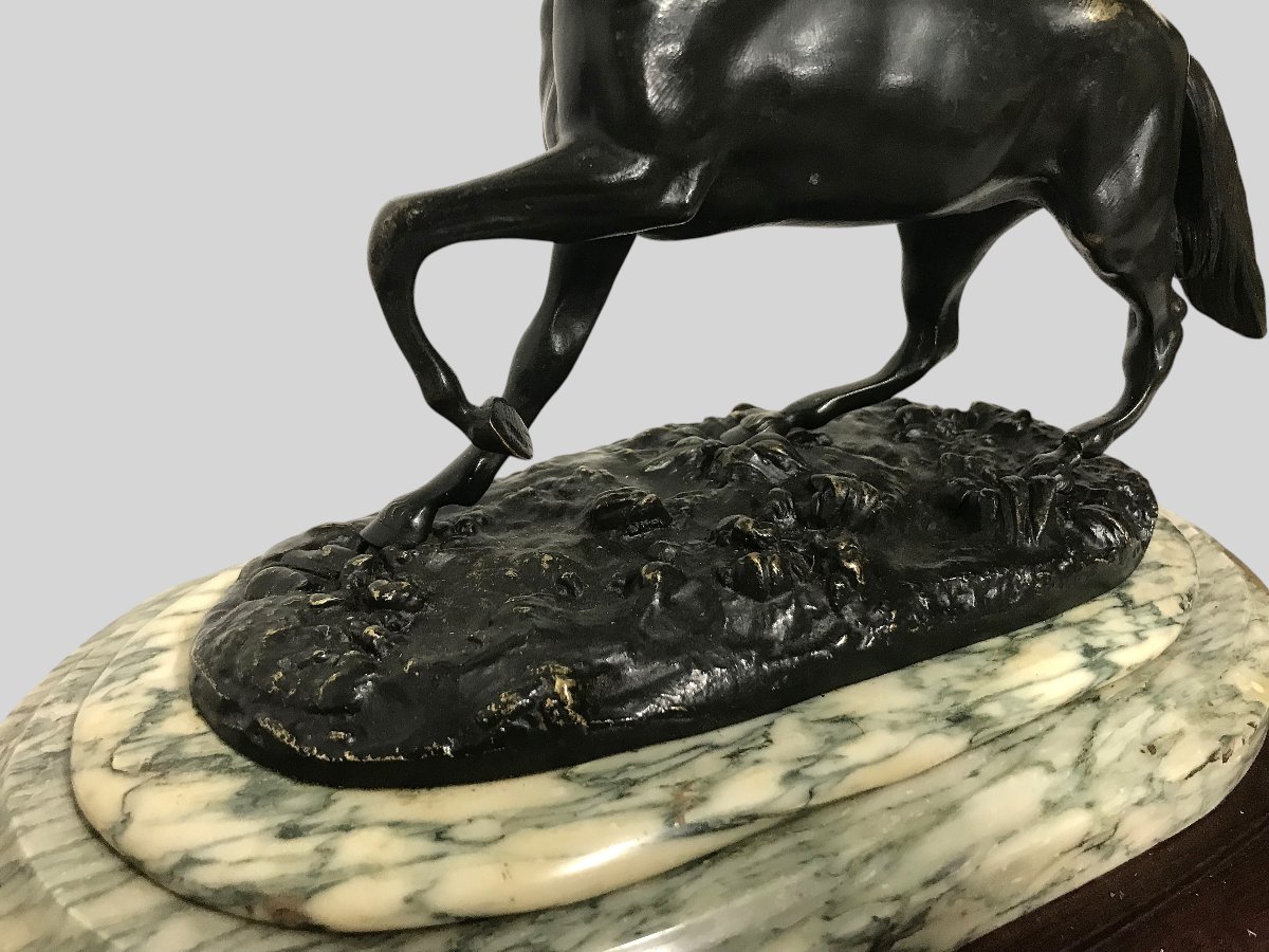 Bronze Horse-photo-4
