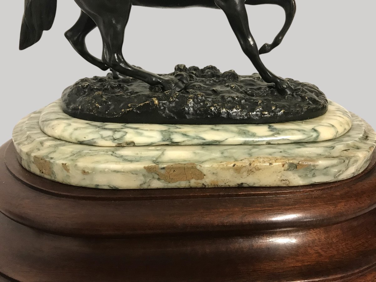 Bronze Horse-photo-5