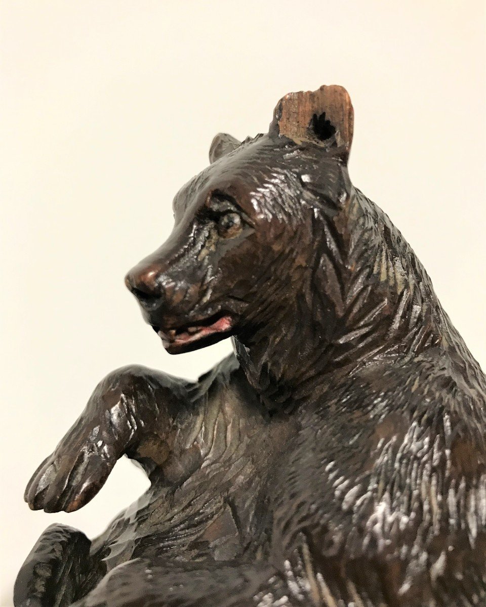 Ours en bois sculpté forêt noire pot à tabac-photo-8