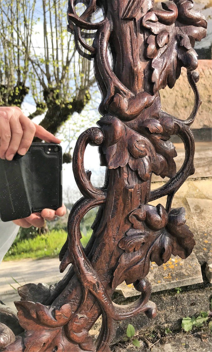 Miroir aux oiseaux en bois sculpté époque XIXème siècle-photo-3