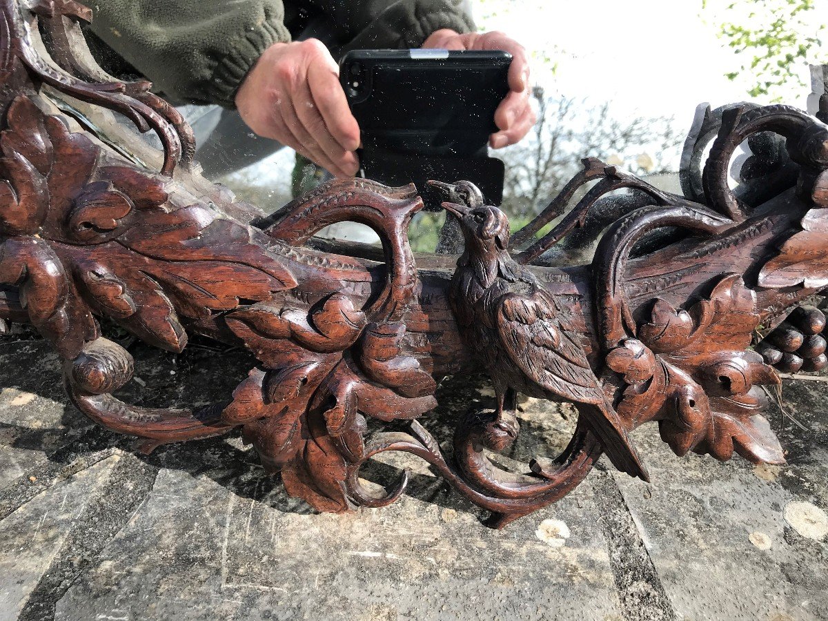 Miroir aux oiseaux en bois sculpté époque XIXème siècle-photo-4