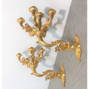 Large Pair Of Gilt Bronze Sconces, Restoration Period