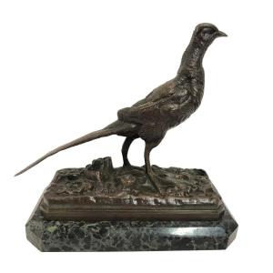 Bronze Pheasant XIXth Century