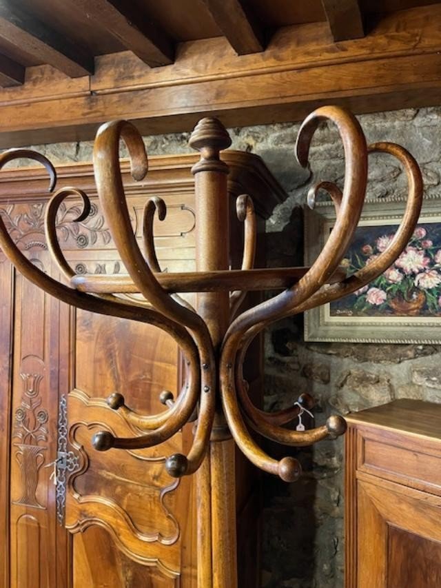 Coat Rack, Thonet Parrot, 8 Branches, Early 20th Century -photo-2