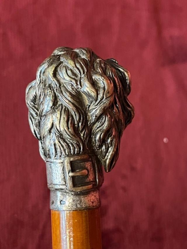 Antique Poodle Head Cane-photo-3