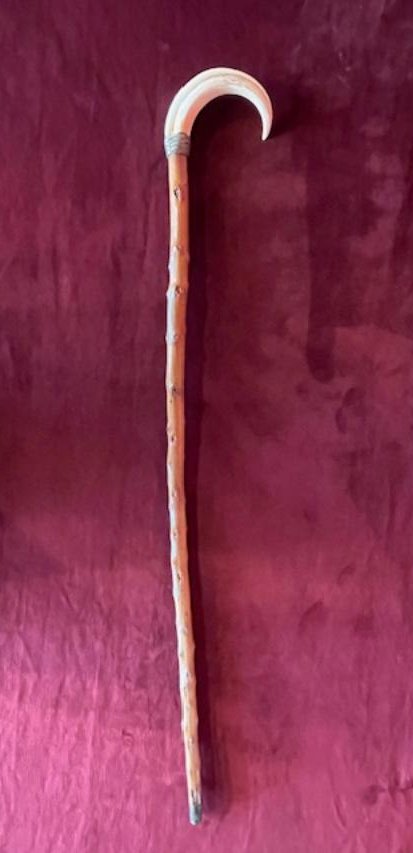 Warthog Tooth Cane-photo-4